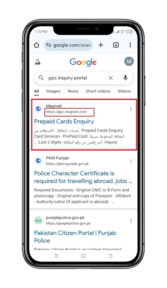 Prepaid Cards Magnati inquiry portal link on Google search results page.